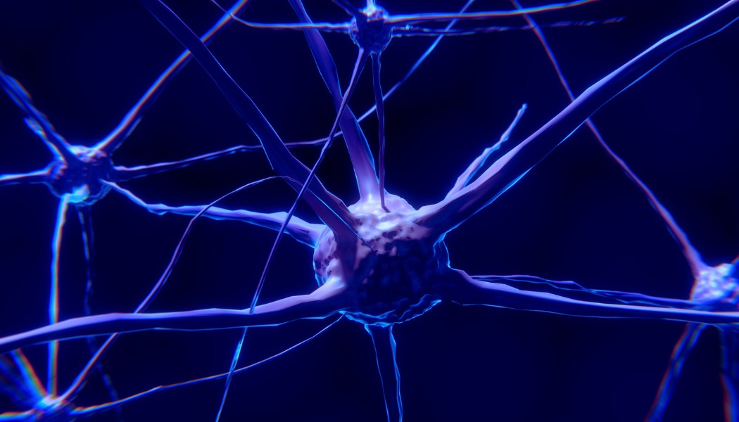 neurony